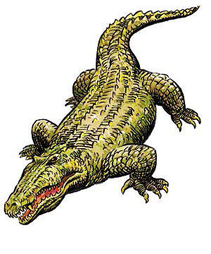 Крокодил (Crocodile)